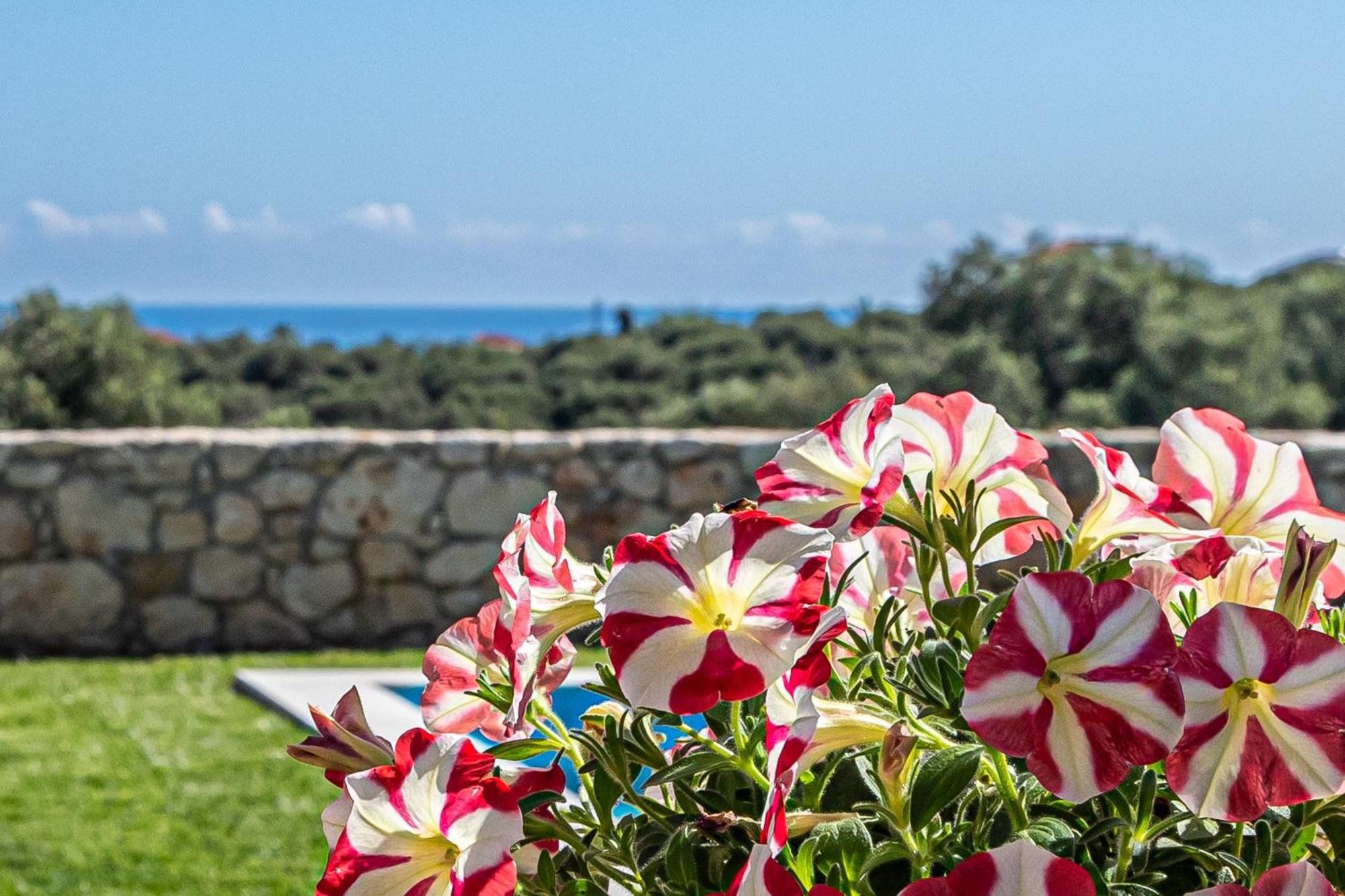 Villa Penelope Galatas  Экстерьер фото